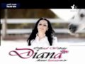 Vidéo clip Wsh Al-Tary - Diana Karazon