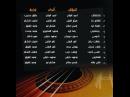 Hesham Nour