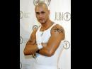 Massari