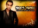 Nader Hamdy