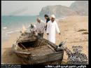 Rashed Al Majid