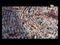Vidéo clip Al-Lh Al-Lh - Assi El Helani