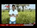 Vidéo clip Al-Ysh Walmlh - Semsem Shehab