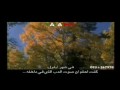 Amr Diab - Rj't Mn Sfr